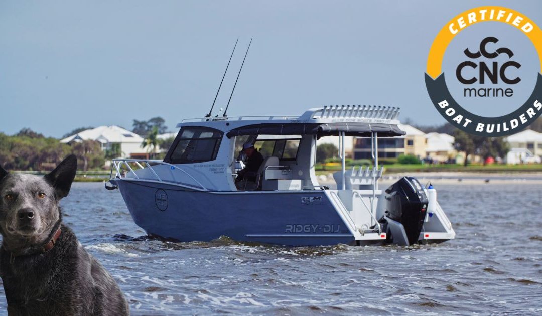 Builder Case Study: Blue Dog Boats