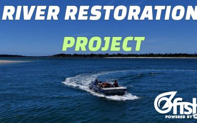 River Restoration Project